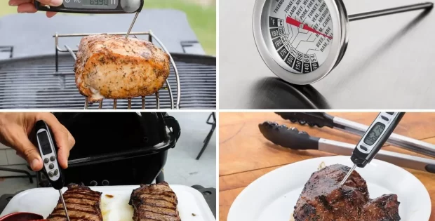 10 Best Steak Thermometer